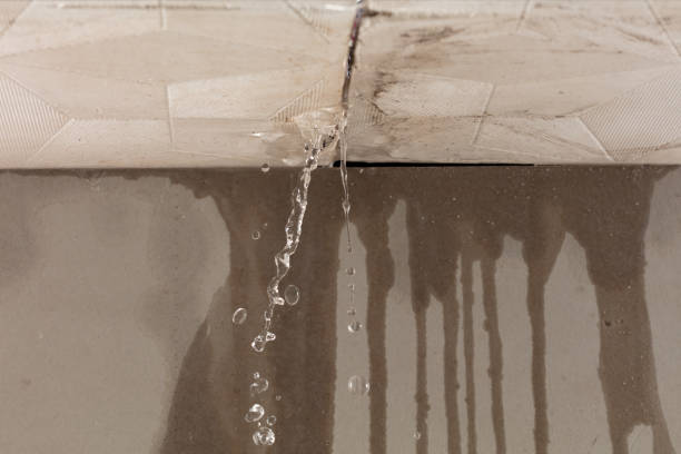Professional Water Damage Repair technician working in Palisades Park, NJ